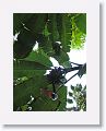 08-StLucia - 119